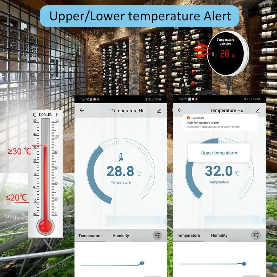 Smart Home Digital Probe Thermometer