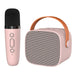 P2 Pink One Mic