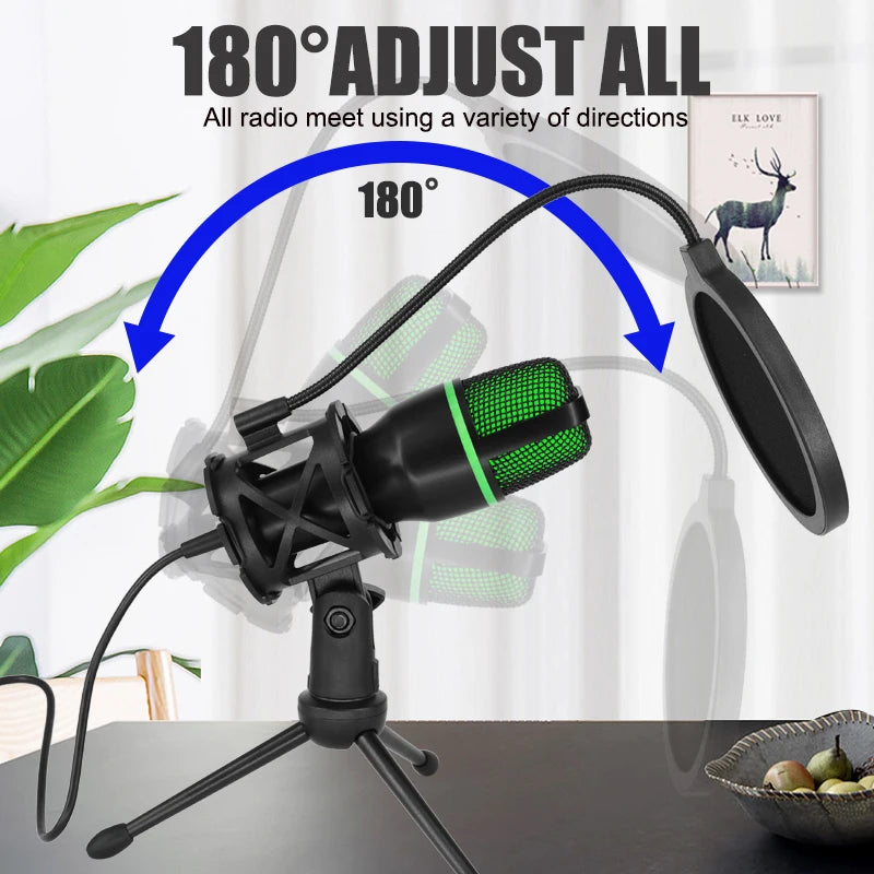 Professional USB Condenser Microphone